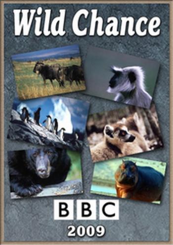 BBC. Шанс на выживание (3 серии из 3) / Wild Chance VO