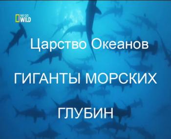 NatGeoWild: Царство океанов.Гиганты морских глубин / NatGeoWild: Kingdom okeanov.Giganty deep sea VO