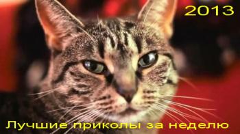 Лучшие приколы за неделю (Выпуски 01-12 от 16.01.2013)