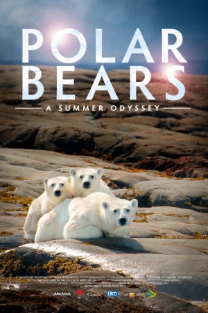 Белый медведь / Polar Bears: A Summer Odyssey VO