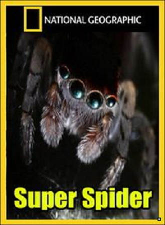 National Geographic. Супер паук / National Geographic. Super Spider VO