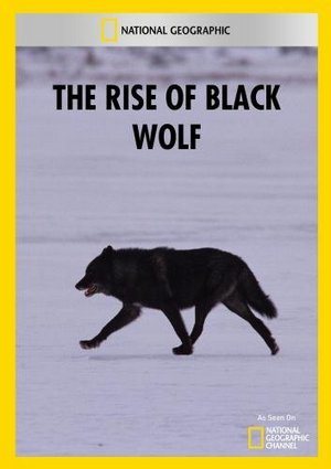 Восхождение черного волка / The Rise of Black Wolf VO