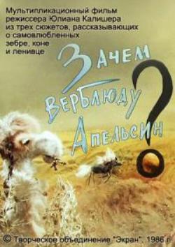 Зачем верблюду апельсин?