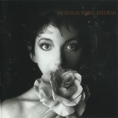 Постер Kate Bush - Discography Kate Bush - Discography