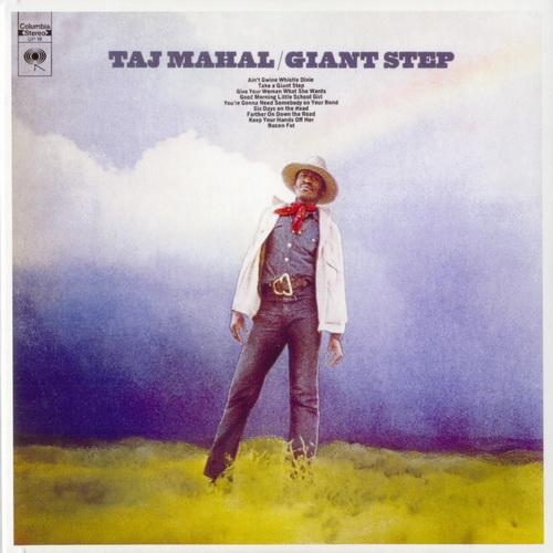 Постер Taj Mahal - The Complete Columbia Albums Collection Taj Mahal - The Complete Columbia Albums Collection