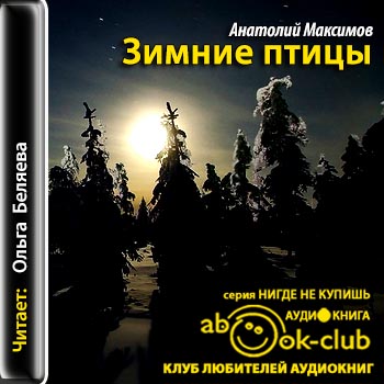 Зимние птицы