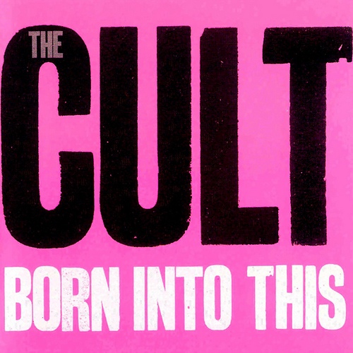 Постер The Cult Discography The Cult Discography