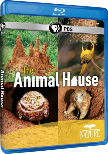 PBS: Природа - Дом животных / PBS: Nature - The Animal House VO