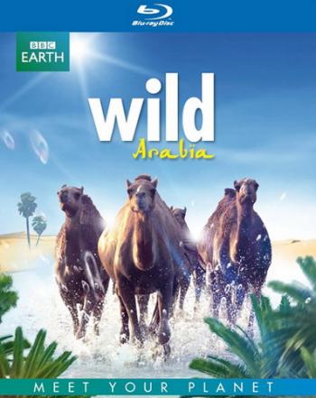 BBC: Дикая Аравия (1-3 серии из 3) / BBC: Wild Arabia VO