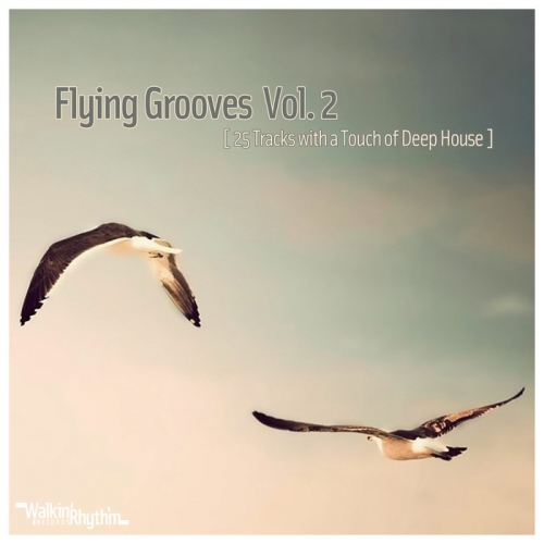 Постер VA - Flying Grooves, Vol. 1-2 VA - Flying Grooves, Vol. 1-2