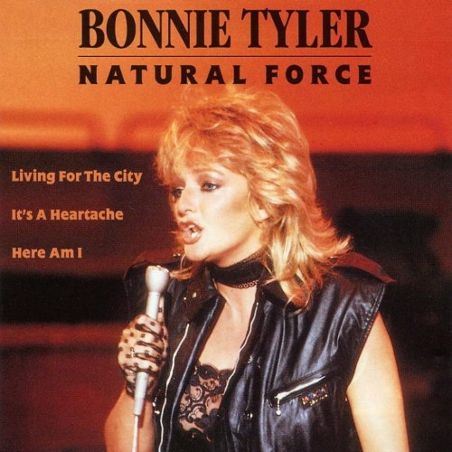 Постер Bonnie Tyler - Discography Bonnie Tyler - Discography