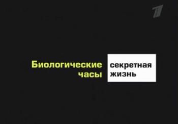 Биологические часы. Секретная жизнь / The secret life of your body clock