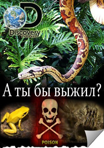 Discovery. А ты бы выжил? (1 сезон: 1-8 серия из 8.) / So You Think You'd Survive? VO
