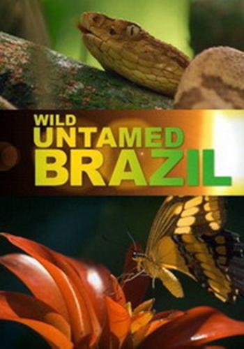 Дикая Бразилия / Wild Untamed Brazil DUB