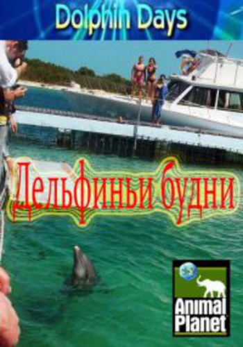 Animal Planet: Дельфиньи будни (2 серии из 2) / Animal Planet: Dolphin Days VO