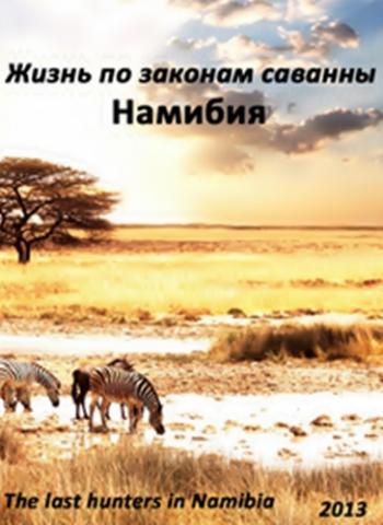 Жизнь по законам саванны. Намибия / The last hunters in Namibia VO