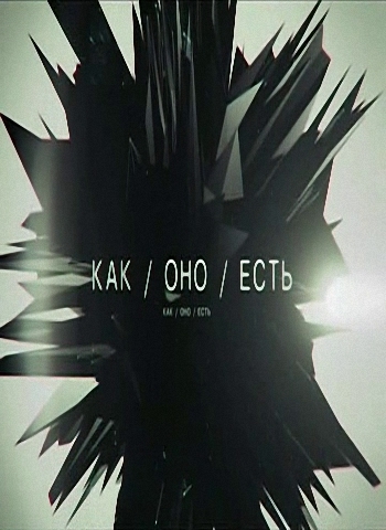 Как оно есть. Сахар (Эфир от 19.12.2014)