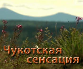 Чукотская сенсация