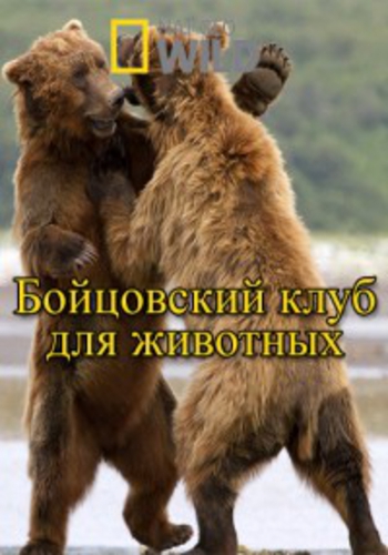 Бойцовский клуб для животных (1 сезон: 1-3 серии из 3) / Animal Fight Club DUB