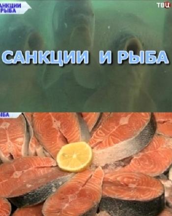Без обмана. Санкции и рыба (Эфир от 24.11.2014)