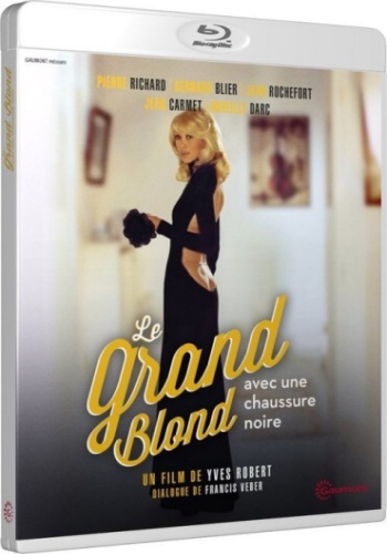 Высокий блондин в чёрном ботинке / Le grand blond avec une chaussure noire DUB + 2хMVO + DVO