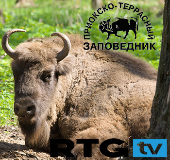 Приокско-террасный заповедник