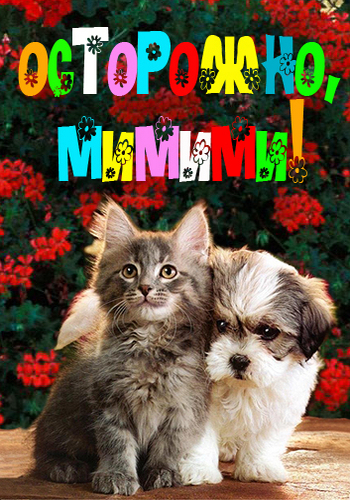 Осторожно, мимими! (31-48 выпуски из 48) / Animal Planet: Too Cute / Carefully, mimy! VO