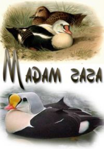 Мадам гага