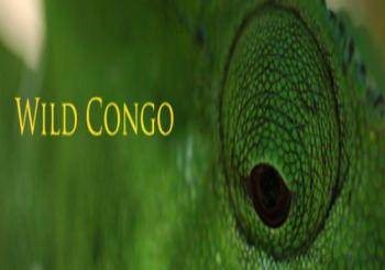 National Geographic: Дикая река Конго (2 серии из 2) / National Geographic: Wild Congo VO