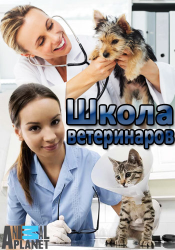 Школа ветеринаров (1-12 серии из 12) / Safari Vet School VO