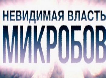 Невидимая власть микробов (Эфир от 29.10.2014)