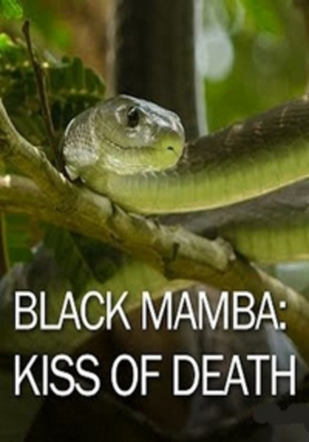 Черная мамба: поцелуй смерти / Black Mamba: kiss of death VO