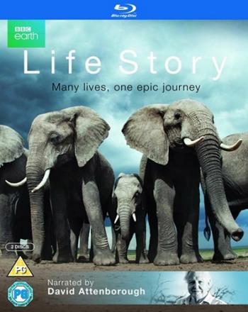 История Жизни (7 серий из 7) / Life Story VO
