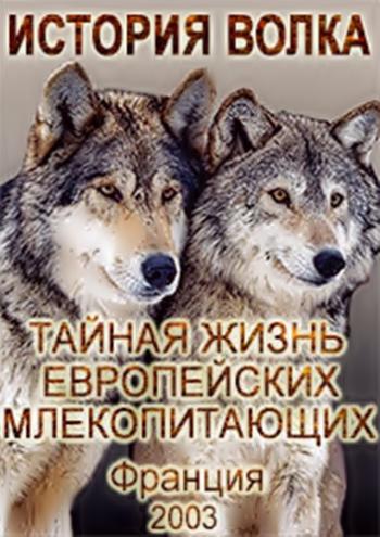 Тайная жизнь европейских млекопитающих / The Secret Life Of European Mammals: The Wolf's Story VO