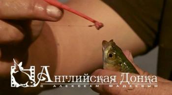 Английская донка c Алексеем Фадеевым (3 серии)