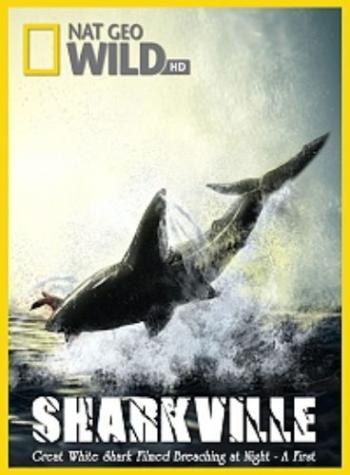Акулоград / Sharkville