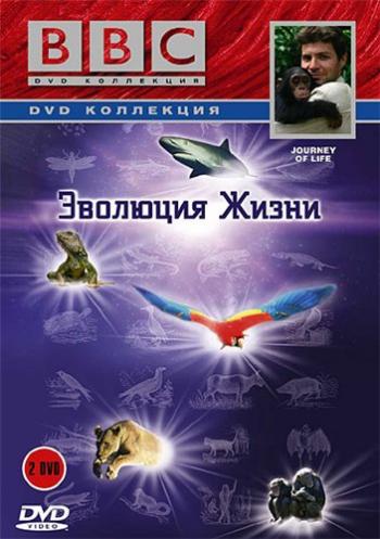 BBC: Эволюция жизни (Часть 2: Освоение суши) / BBC: Journey of life