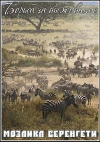 Борьба за выживание. Мозаика Серенгети / Kingdoms of Survival. Serengeti Jigsaw VO