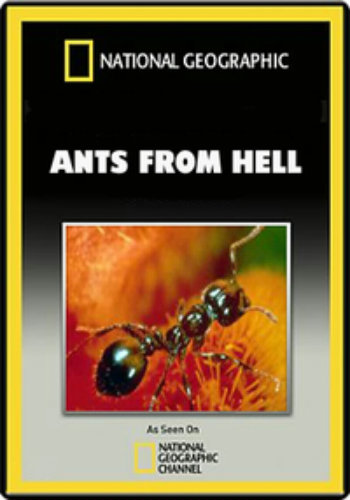 Эти хищные муравьи / National Geographic: Ants From Hell