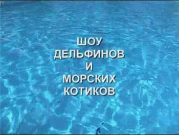 Шоу дельфинов и морских котиков
