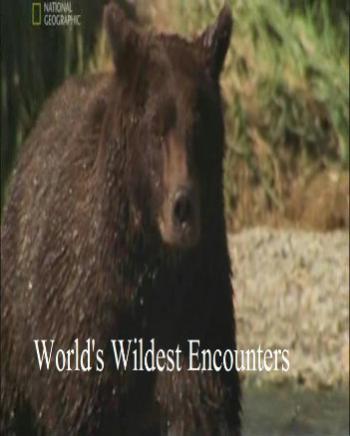 По следам исчезающих животных / National Geographic. World's Wildest Encounters