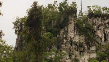 BBC: Тропический рай Борнео (3 из 3) / Expedition Borneo