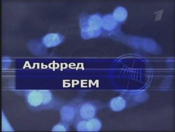 Гении и злодеи. Михаил Тухачевский