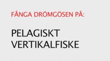Отвесная ловля в толще воды / Pelagiskt vertikalfiske