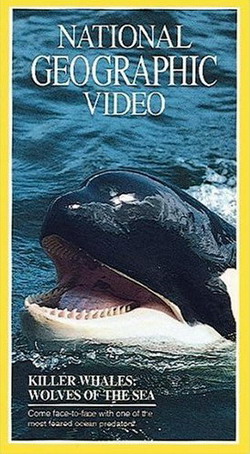 Касатки: опасные морские охотники / Wolves of the Sea
