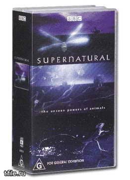 Незримые силы природы / The unseen powers of animals. VO