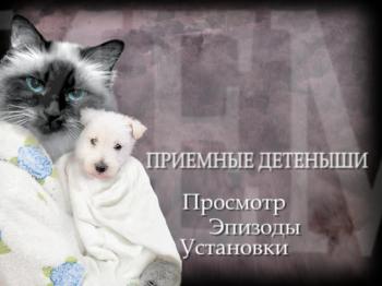 Животные похожи на нас. Фильм 5: Приемные детеныши / Animals Like Us. Vol. 5 (2005)