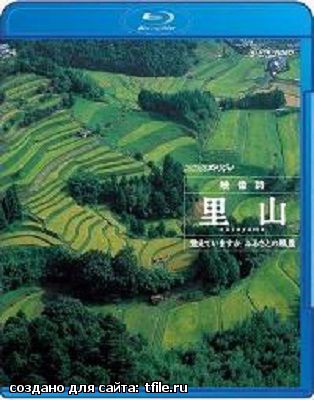 Cатояма: Таинственный Водный Сад Японии / Satoyama: Japan's Secret Water garden