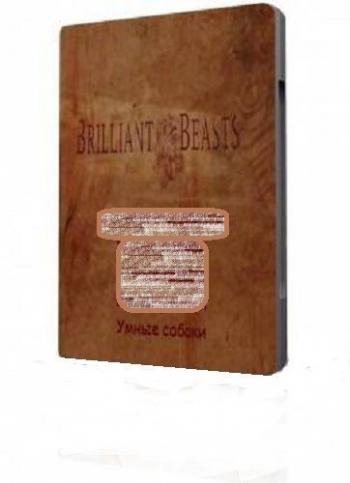 Талантливые животные. Умные собаки (5 Серия) / Brilliant Beasts