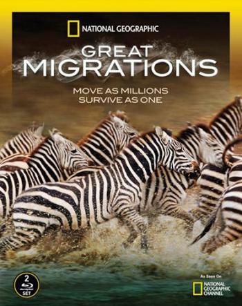 Великие миграции (3-й из 6 фильмов) / Great Migrations